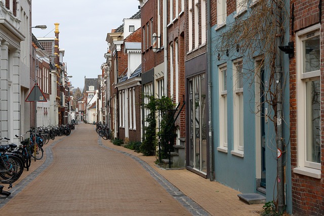 Een effectieve strategie voor linkbuilding in Groningen